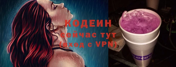 молекула духа Майский