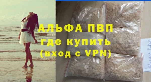 индика Дубна