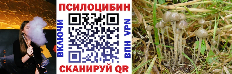 Псилоцибиновые грибы ЛСД  Дедовск 