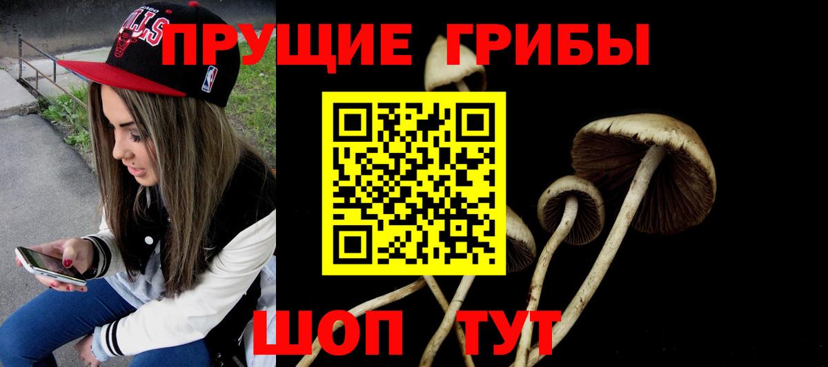 хочу   Дедовск  Псилоцибиновые грибы ЛСД 